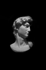 Michelangelo's David Sculpture Head