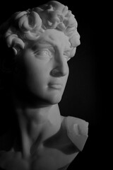 Michelangelo's David Sculpture Head