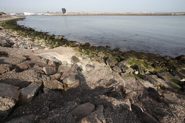 Ultra-wide angle view of the Aberdeen harbour from Torry - Aberdeen - Scotland - UK
