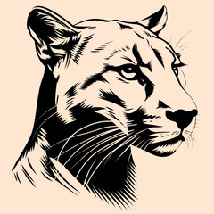 Black and White Cougar (Puma) Outline Silhouette Ornament Vector Art for Logo and Icon, Sketch, Tattoo, Clip Art