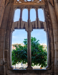 View Through a Gothic Window to a Lush Orange Tree in Soller, Spain