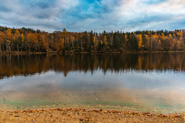 Beautiful view to the coast of big lake with beautiful high green and golden trees at fall reflecting in water