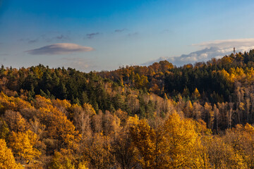 Beautiful mountain landscape full of golden and green trees at fall and with clear blue sky with few small clouds