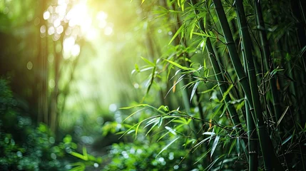 Poster Lush bamboo forest background, dense green bamboo stalks, tranquil nature scene © neirfy