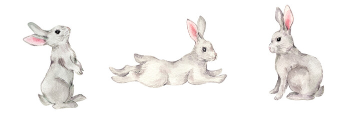 Cute grey rabbits. Hand-drawn watercolor set. Standing on its hind legs, lying and sitting little bunnies. Illustration isolated on transparent background.	