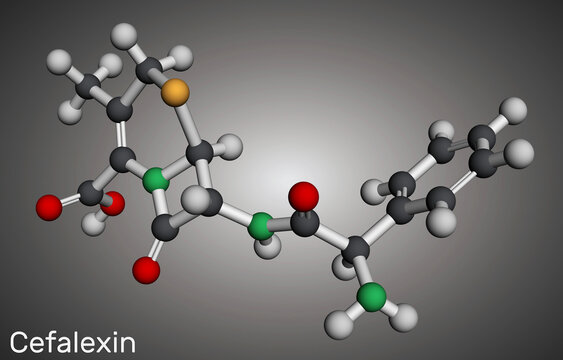Cefalexin, cephalexin molecule. It is a beta-lactam antibiotic with bactericidal activity. Molecular model. 3D rendering.