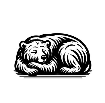 sleeping bear isolated monochrome vector illustration
