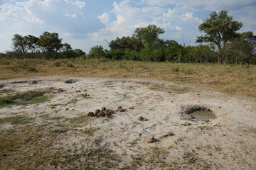 Landscape of the Okavango Delta