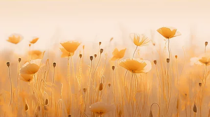 Foto auf Glas Art, poppy flowers, field, nature, plants, flowers, petals, orange, yellow, sepia © zhor