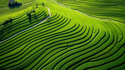 Aluminium Prints Rice fields Green terraced rice fields in the mountains, aerial view. Nature, agriculture, and travel photography.