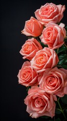 Obraz premium Striking peach roses on a dark background, ideal for dramatic floral compositions, luxury event themes, and romantic ambiance creation