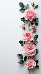 Elegant rose stem with blooms and buds on a white backdrop, perfect for minimalist floral art, wedding invitations, and botanical illustrations