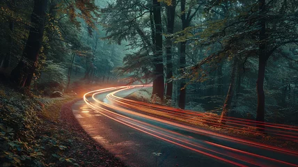 Rolgordijnen Long exposure night shot of busy highway with light trails nestled in tranquil forest © Moribuz Studio