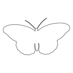 Outline of a butterfly insect. Vector graphics.