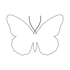 Outline of a butterfly insect. Vector graphics.