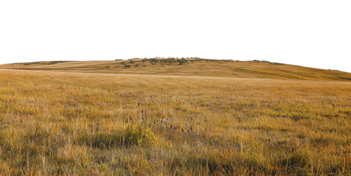 Expansive prairie with distant mountain range and golden grass on transparent background - stock png.
