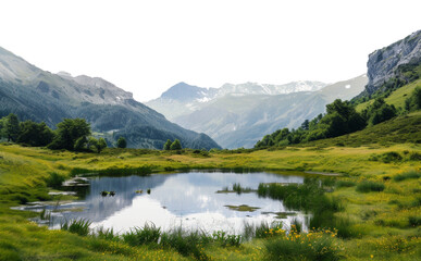 Fototapeta na wymiar Tranquil mountain lake surrounded by wildflowers and lush greenery, cut out - stock png.
