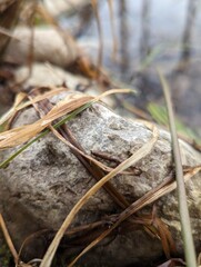 Rock Background