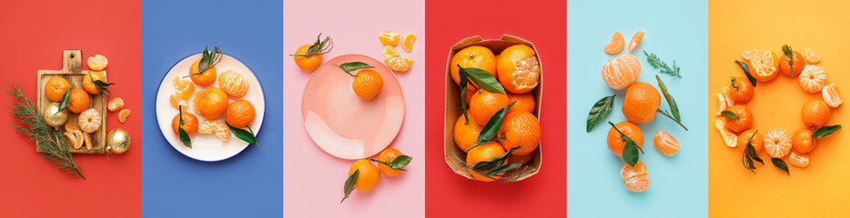 Collage with many tangerines on color background, top view