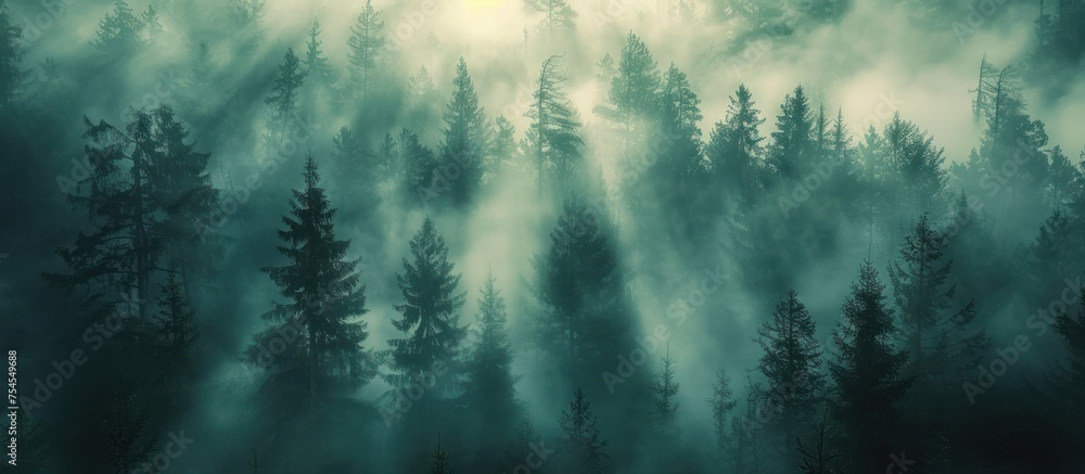 Poster A dense fog covers a vast forest filled with tall trees, creating a mysterious and atmospheric scene.
