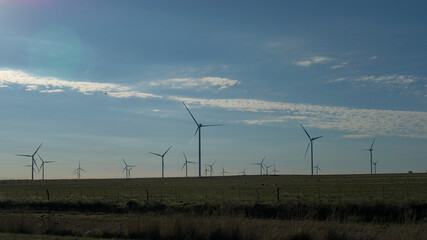 Wind turbines in the field
