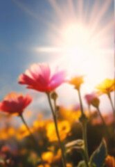 Blurred summer spring background with beautiful flowers and sunlight. - 754554684