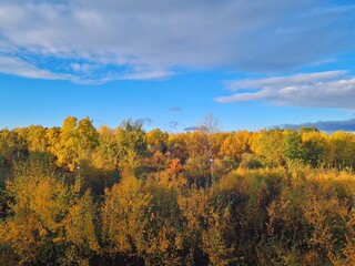 Naklejka premium Autumn nature