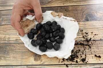 man with black olives to obtain olive tree seeds