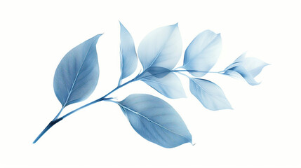 White background with blue leaf and  plants , wedding cards, bridal shower or other party invitation cards, Place for text. Flat lay, top view.