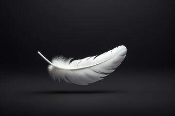 Singular Fluffy White Feather Floating over a Black Background - obrazy, fototapety, plakaty