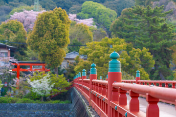 朝霧橋