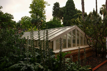 Greenhouse in the botanical garden.