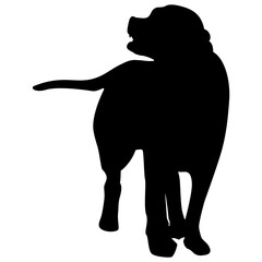 silhouette of a dog