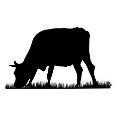 silhouette of a cow