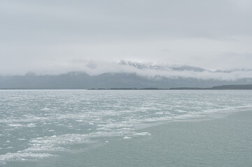 Growlers (small icebergs) floating in College fjord with low clouds hanging in the mountains behind