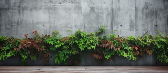 Fototapeta na wymiar A concrete wall with wooden planks has several green plants growing out of it, showcasing a unique blend of nature and urban elements in a loft-style setting.