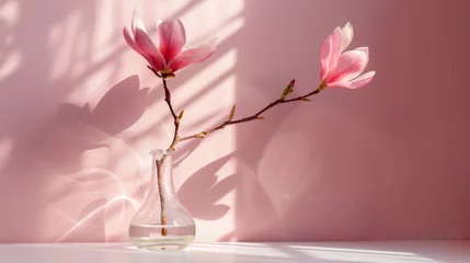 Keuken spatwand met foto Beautiful pink magnolia flower in transparent glass vase standing on white table, sunlight on pastel pink wall © vannet