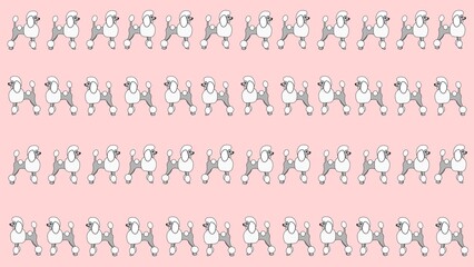 seamless pattern with poodle dogs