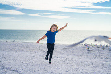 Excited kid running on beach. Little kid boy having fun on Miami beach. Happy cute child running near ocean hunting seagull birds on warm summer day.