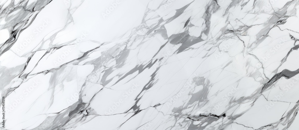 Poster a detailed view of a white marble texture, showcasing intricate veining and patterns. the surface ap