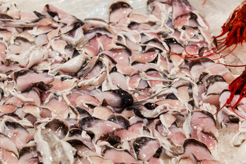 fish market with many different fresh fishes