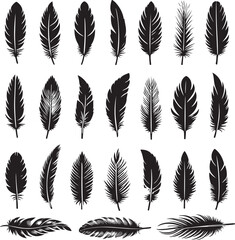 Feather icons. Set of black feather icons isolated. Feather silhouettes