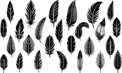 Feather icons. Set of black feather icons isolated. Feather silhouettes