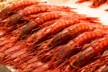 fish market with many different fresh fishes