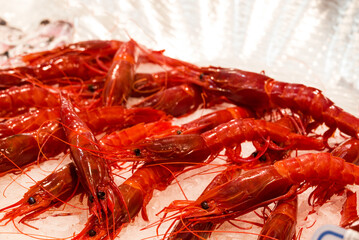 fish market with many different fresh fishes
