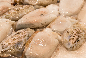 fish market with many different fresh fishes