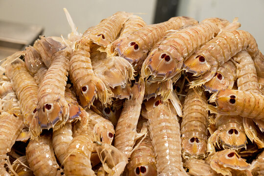 fish market with many different fresh fishes
