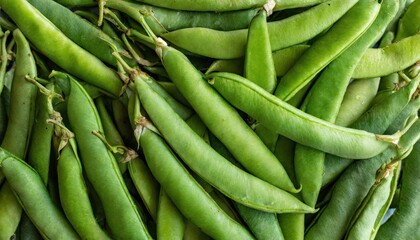 Full frame shot abundance of vibrant green bean pods