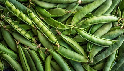 Full frame shot abundance of vibrant green bean pods