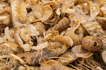 fish market with many different fresh fishes